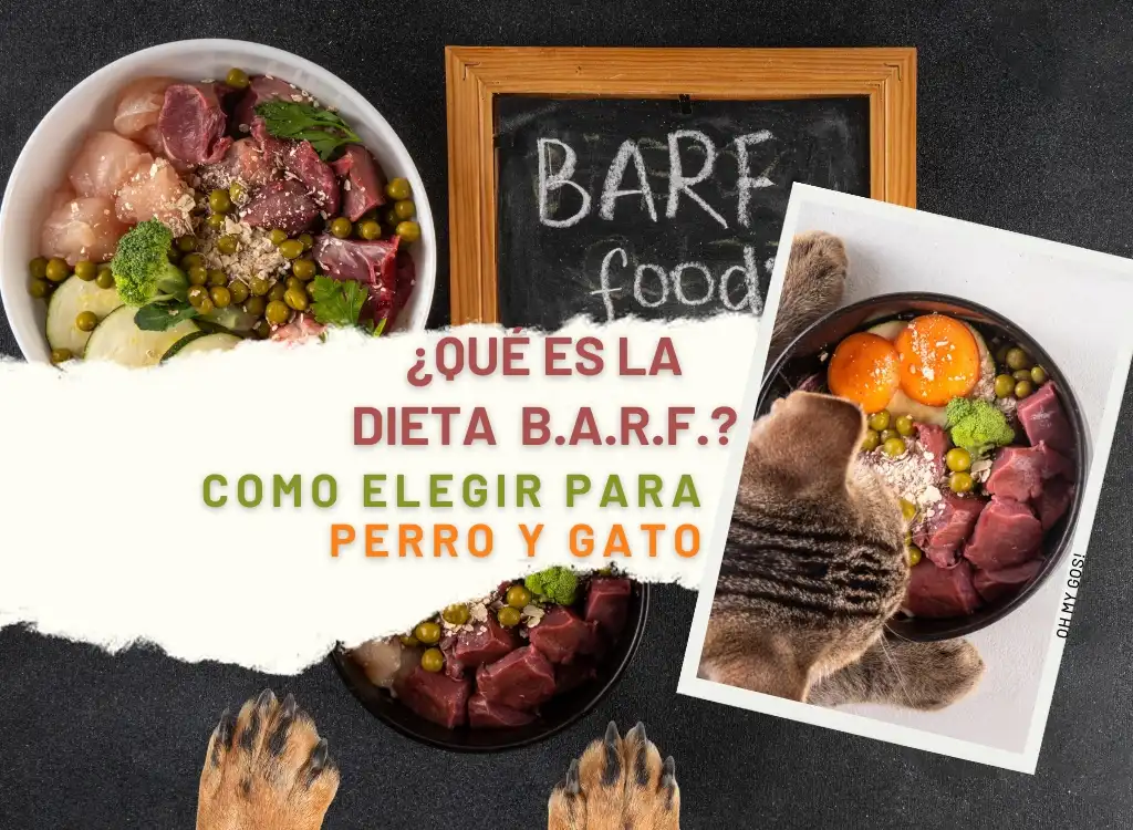 que es la dieta barf blog como elegir la mejor y donde comprar oh my gos