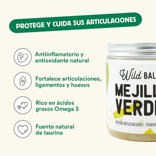 Mejillón de Labio Verde Beneficios