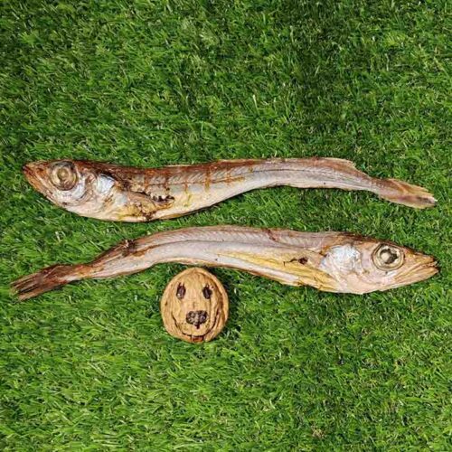 Pescado deshidratado para gatos y perros snacks naturales MAIRA O PESCADILLA oh my gos