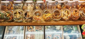 los mejores snacks naturales para perros y gatos