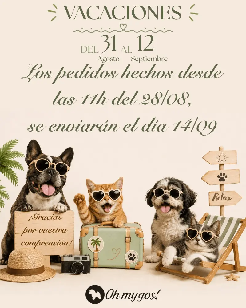 oh my gos vacaciones 2026 entregas web