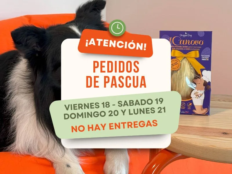huevos de pascua para perros entregas de pascua 2025 oh my gos web