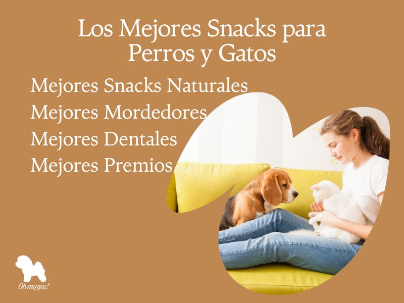los mejores snacks naturales para perros y gatos