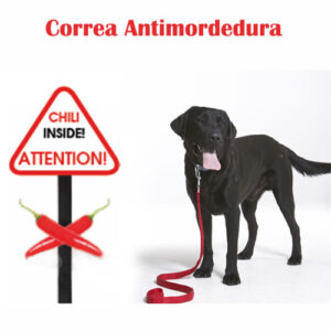 correa con chili atencion correa anti mordedura para perros