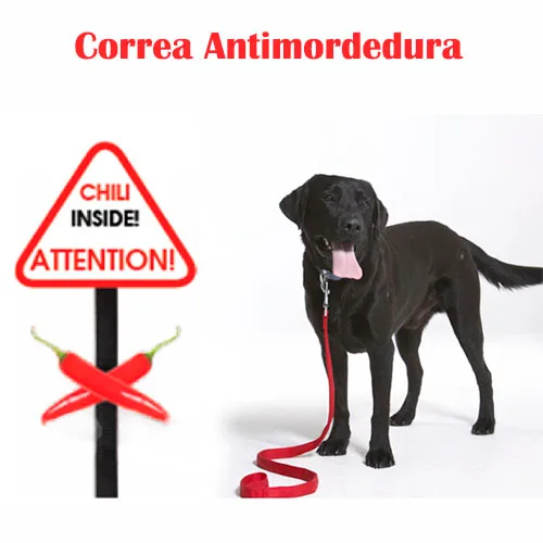 correa con chili atencion correa anti mordedura para perros