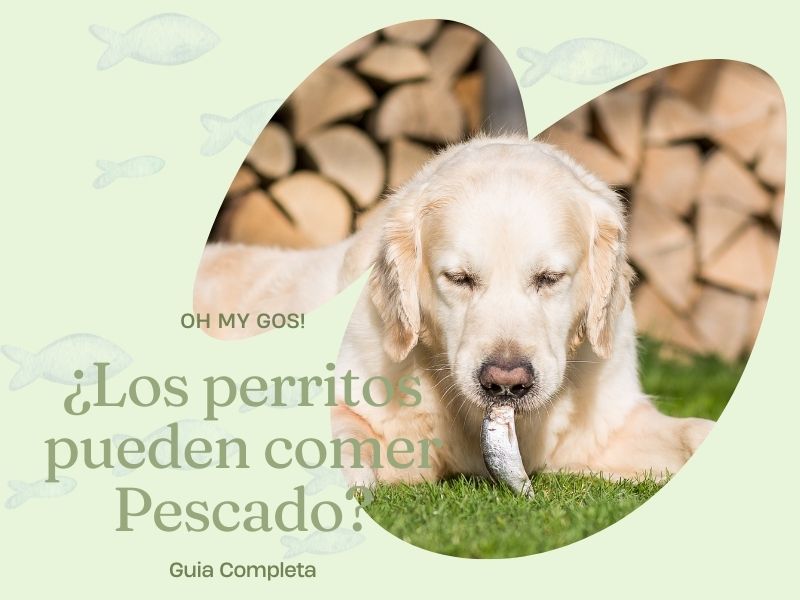 Los Perritos Pueden Comer Pescado Los perros pueden comer pescado guia competa oh my gos