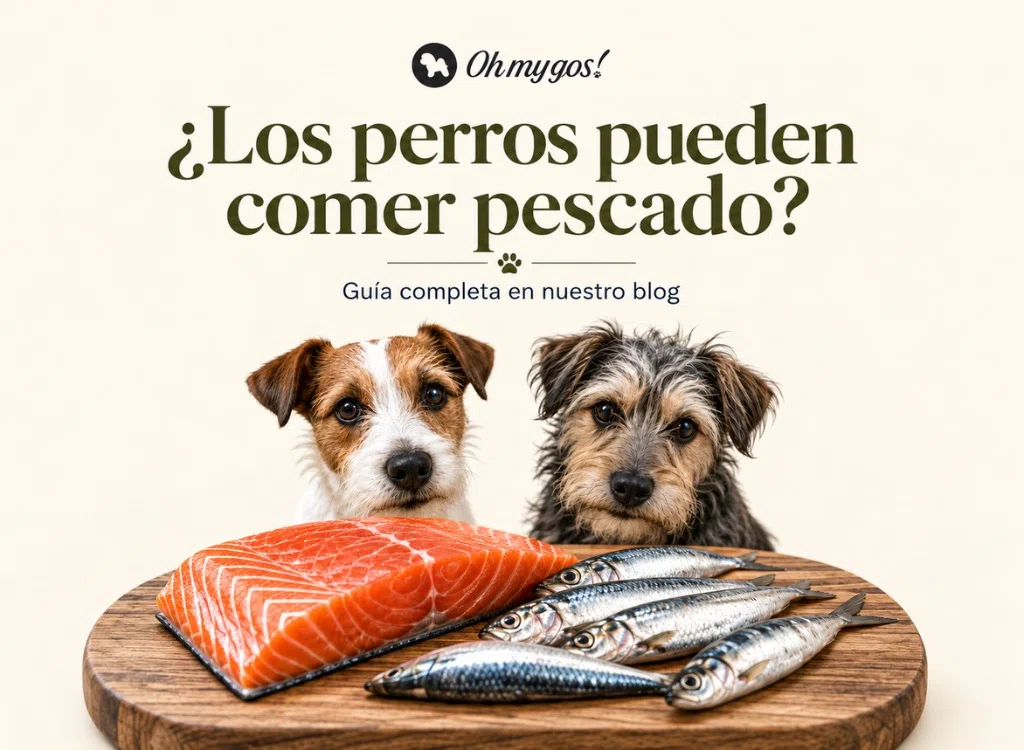 los perritos pueden comer pescado guia completa oh my gos