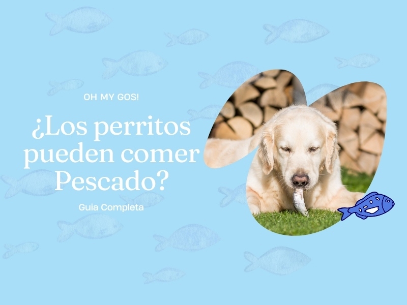 los perritos pueden comer pescado