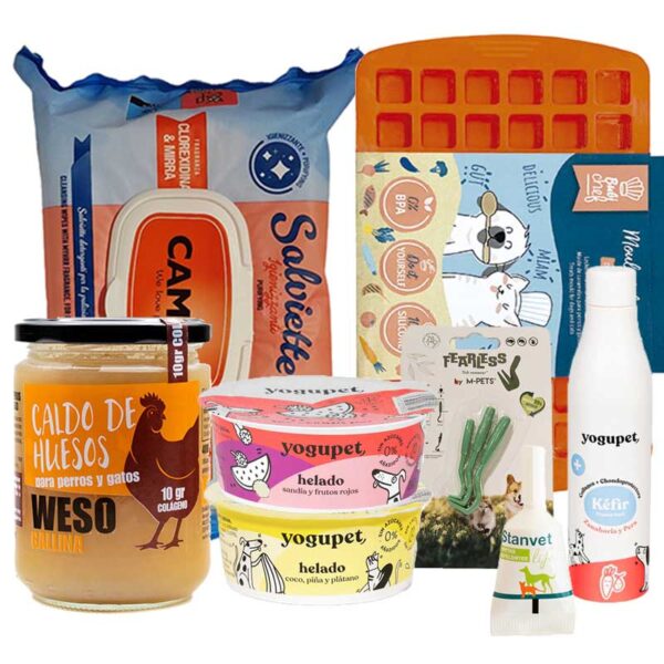 oferta pack de verano para mascota