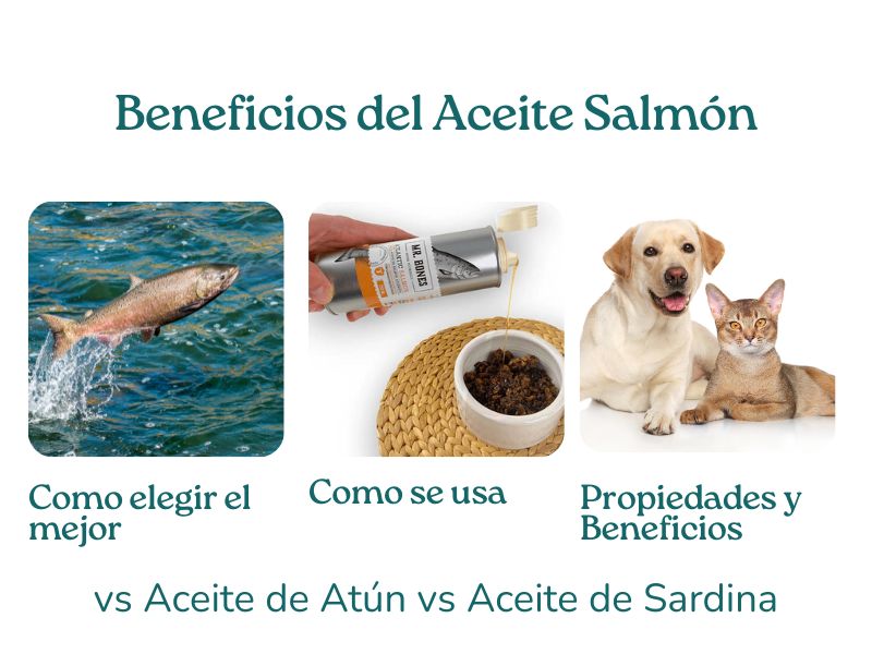 Beneficios del Aceite de salmón para perros y gatos tabla comparativa aceite de atun y sardina blog
