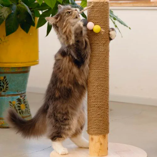 Rascador Poste Gato 3 bolas Designed by lotte