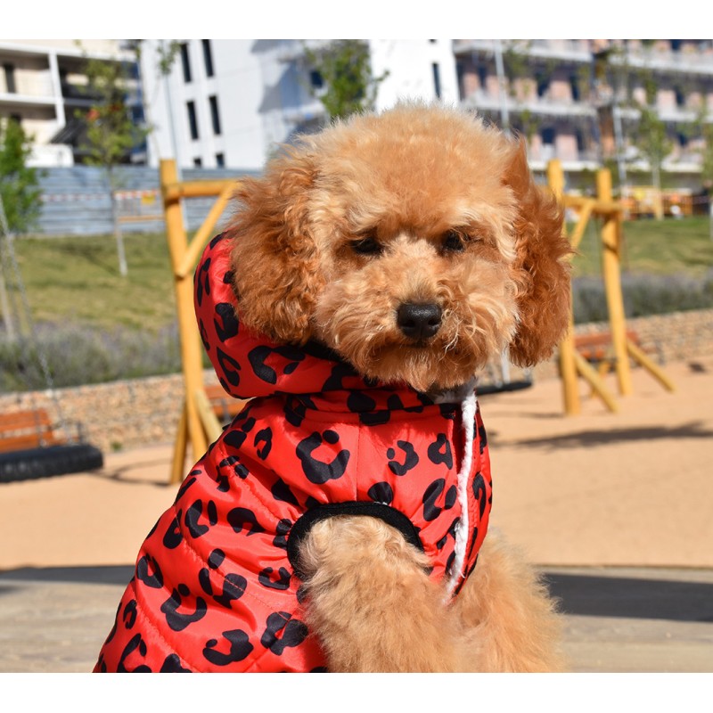 chaqueta perro abrigo para perro pequeño con-capucha red leopard oh my gos barcelona ohmygosweb.com