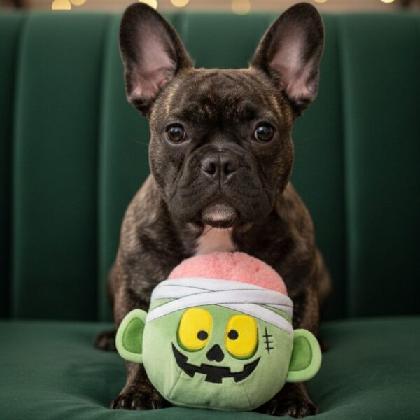 fuzzyard-halloween-perro-bulldog frency-oh my gos