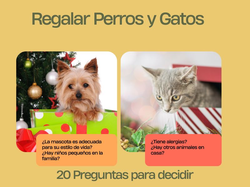 Regalar perros y gatos en navidad