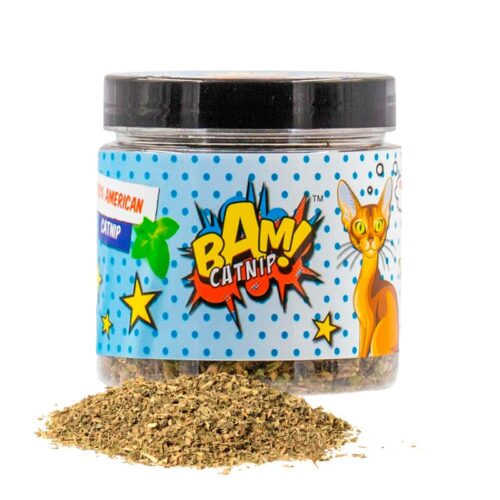 Bam catnip para gato Bam 21g ohmygosweb.com