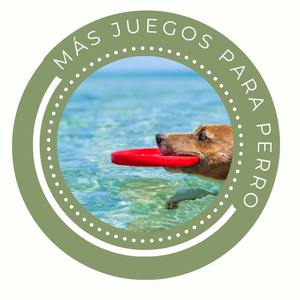 Juguetes Eco-Divertidos Perro