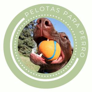 Pelotas para Perros