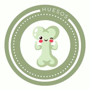 suplementos naturales para huesos en gato y perro oh my gos tienda natural mascotas
