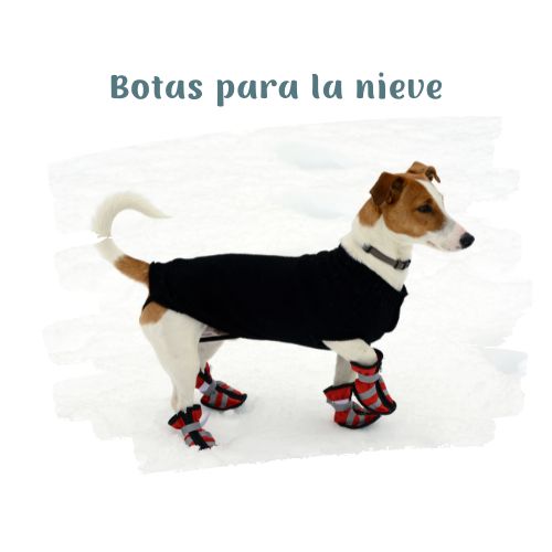 ponle zapatos a tu perro perritos en la nieve blog oh my gos