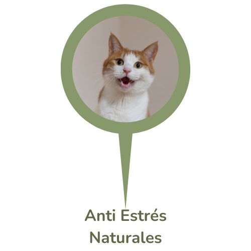 Antiestres naturales para Gato oh my gos