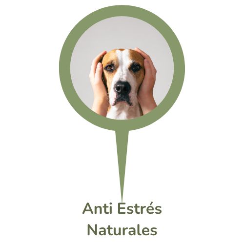 Tienda para perros - Antiestres naturales para Perro ohm y gos