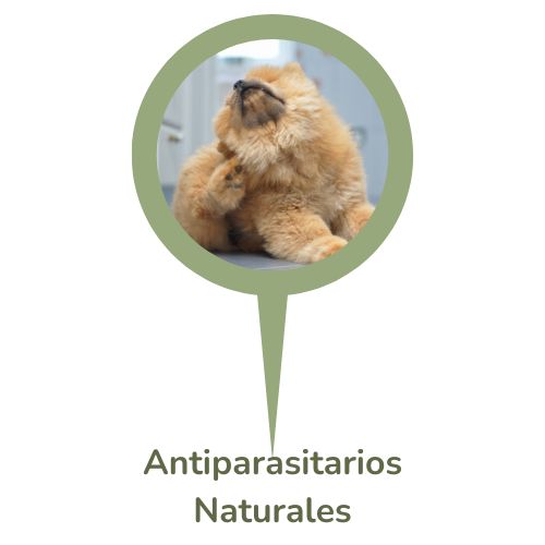 Tienda para perros - Antiparasitarios naturales para Perro compra online en oh my gos