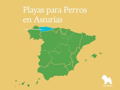 playas para perros en asturias blog oh my gos