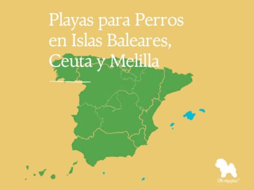 playas para perros en baleares ceuta melilla blog oh my gos