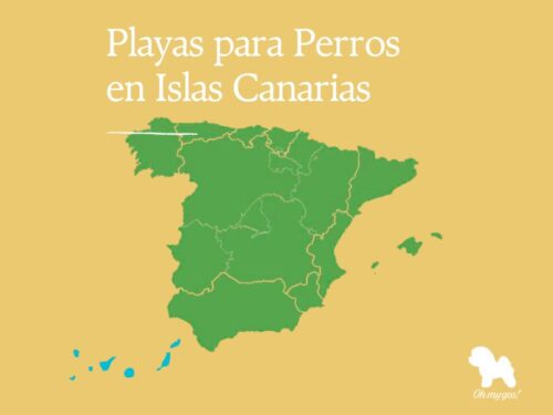 playas para perros en canarias blog oh my gos