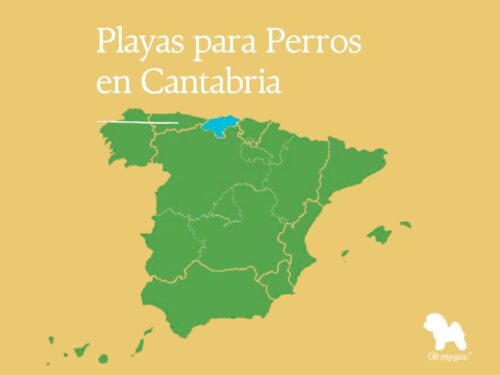 playas para perros en cantabria blog oh my gos