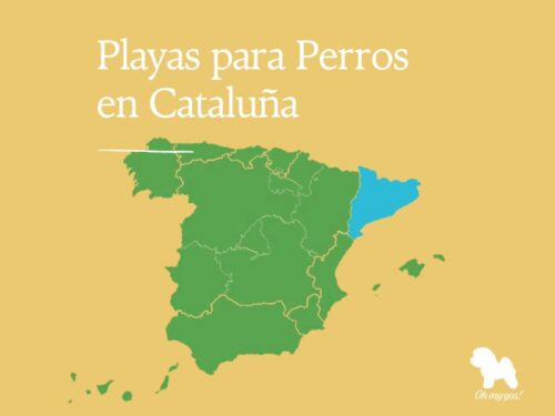 playas para perros en cataluña blog oh my gos