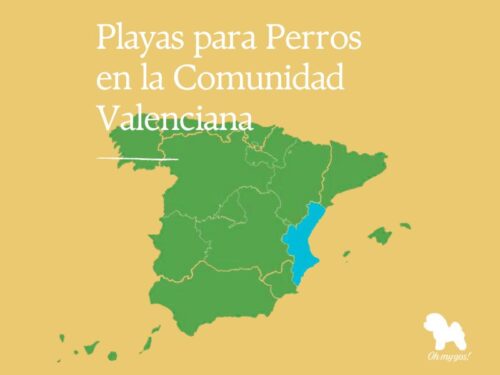 playas para perros en comunidad valenciana blog oh my gos