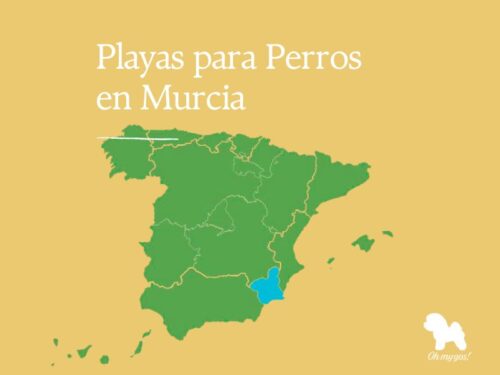 playas para perros en murcia blog oh my gos