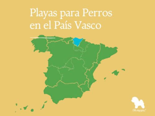 playas para perros en pais vasco blog oh my gos