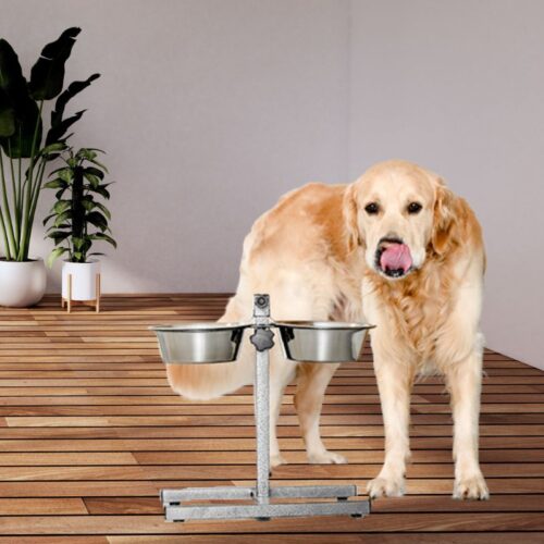 golden retriever comedero elevado regulable