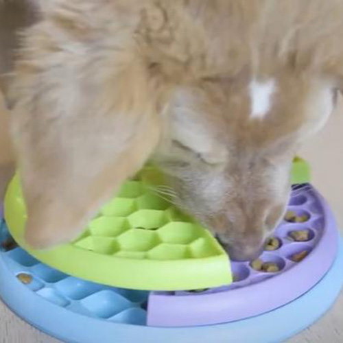 golden retriever comiendo de lickin layers nina ottosson comedero antivoracidad