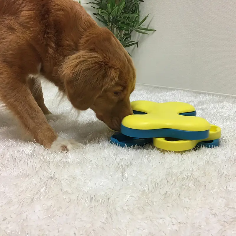 golden retriever dog tornado nivel 2 juguete interactivo oh my gos