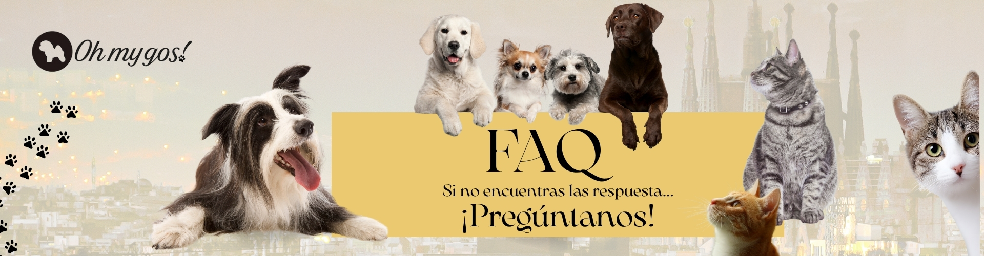 preguntas frecuentes FAQ oh my gos