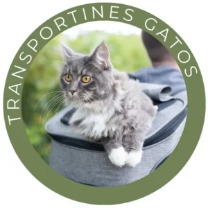Transportines