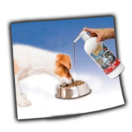 aceite de salmon noruego ohmygosweb.com