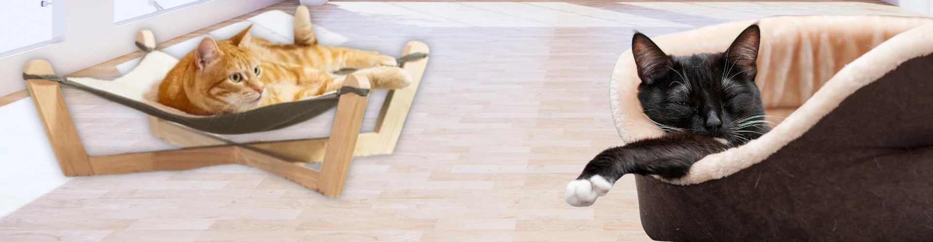 camas para gato tienda para gatos oh my gos