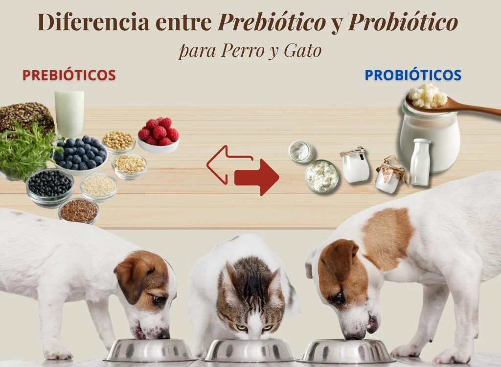 . Déjalo vacío si la imagen es puramente decorativa.