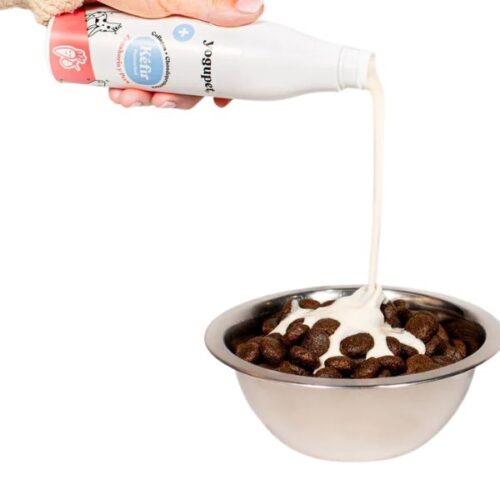 kefir yogupet probiotico para perros y gatos natural ohmygosweb.com