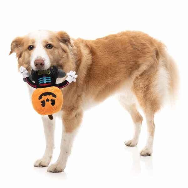 FuzzYard Peluche Esqueleto Calabaza Halloween- Perro-grande-ohmygosweb.com