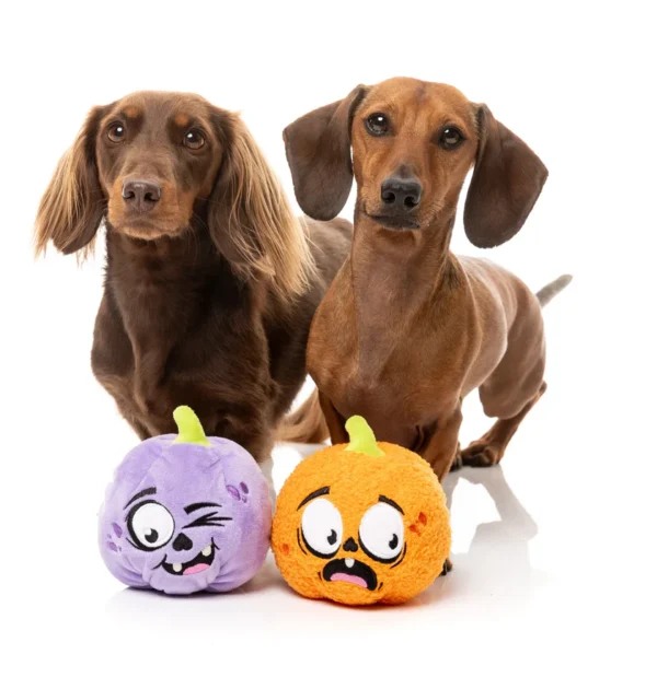 pack 2 Calabazas de Juguete Halloween Perro-ohmygosweb.com
