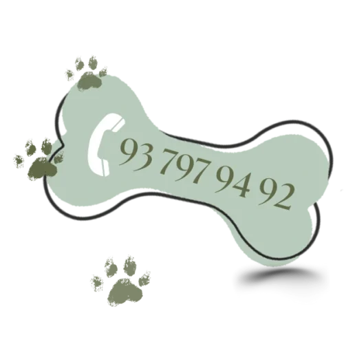 telefono contacto tienda oh my gos barcelona el born