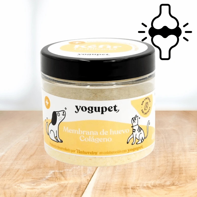 kefir liofilizado membrana de huevo yogupet oh my gos