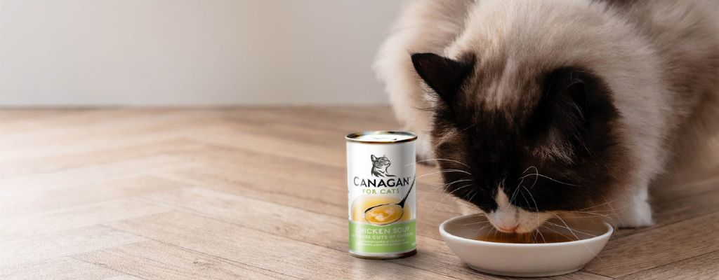 sopa para gatos canagan