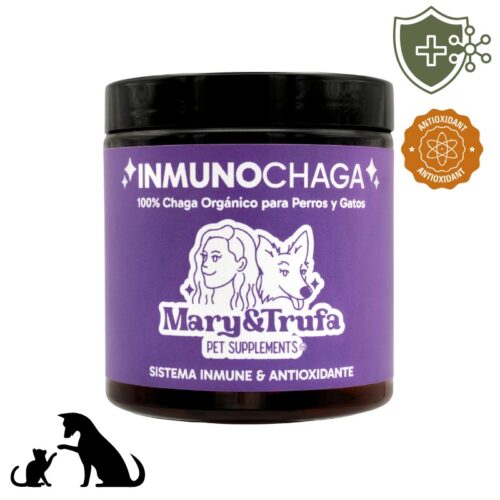 inmuno chaga hongo chaga mary and trufa compra online en oh my gos