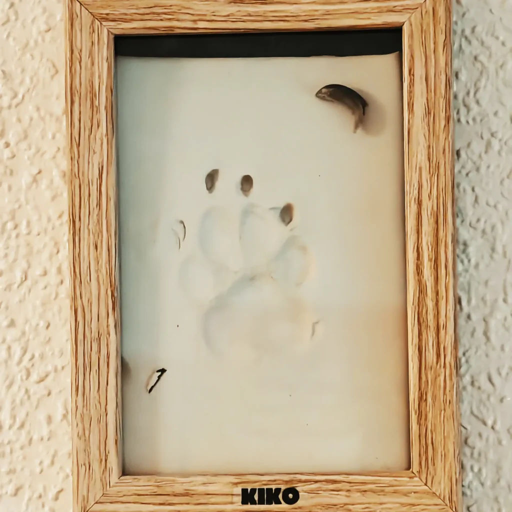 kiko cuadro duelo animal oh my gos